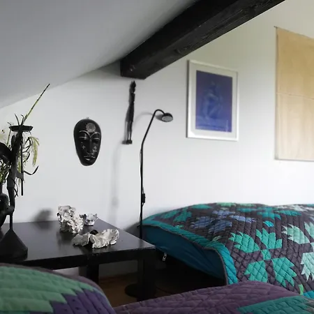 Grosszuegige Und Kunstvolle Dachgeschosswohnung